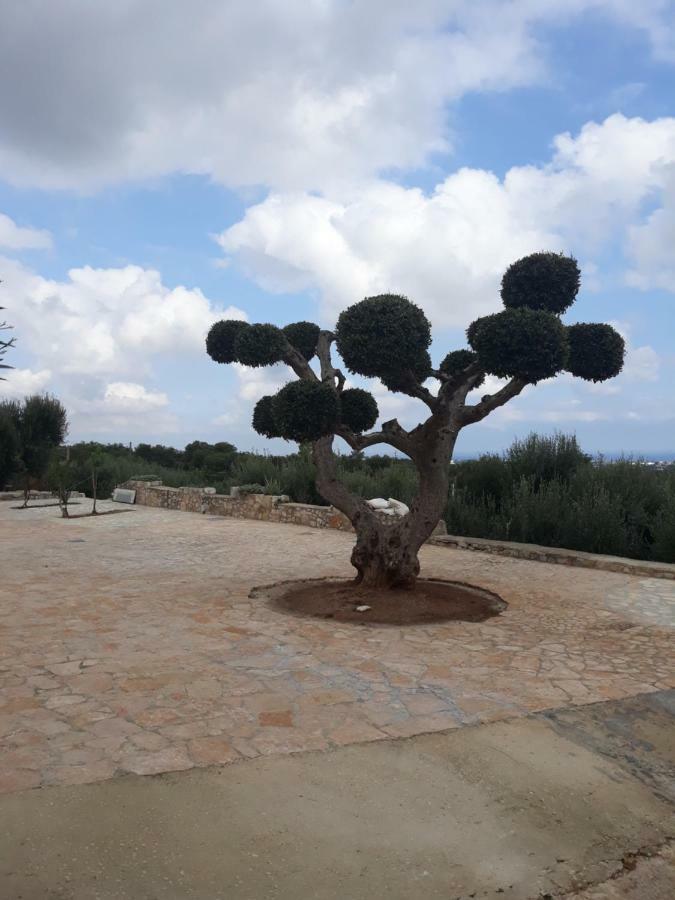 Appartamento Casa Campagna Fasano Esterno foto